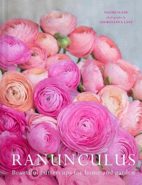 Produktbild: Ranunculus