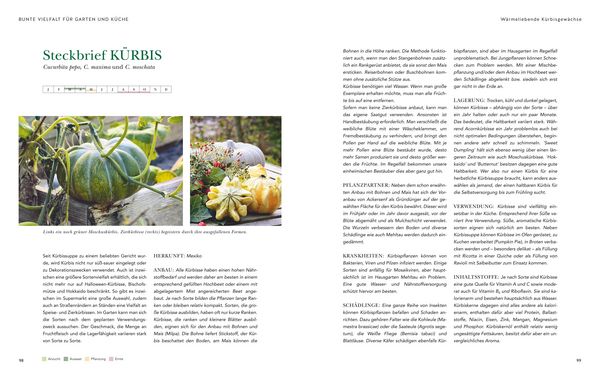 Produktbild: Das gro&szlig;e Garten-Gem&uuml;se-Buch