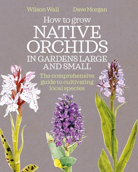 Produktbild: How to Grow Native Orchids in Gardens Large and Small