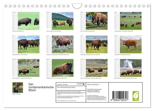 Produktbild: Der nordamerikanische Bison (Wandkalender 2026 DIN A4 quer), CALVENDO Monatskalender