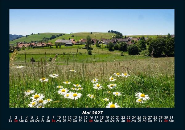 Produktbild: Blumenkalender 2027 Fotokalender DIN A4