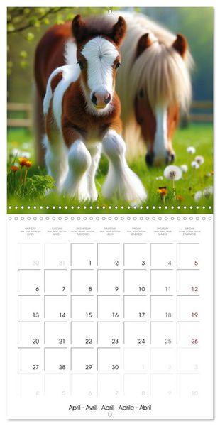 Produktbild: The majestic beauty of Gypsy Vanner (Wall Calendar 2026 12 &times; 12 Inch) CALVENDO 12 Month Wall Calendar