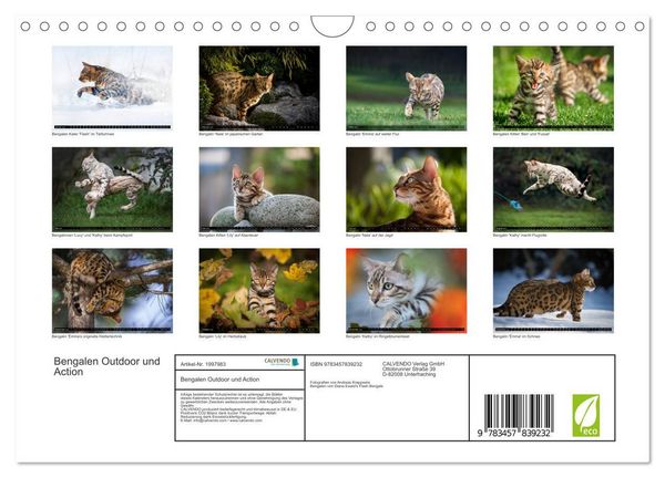 Produktbild: Bengalen Outdoor und Action (Wandkalender 2026 DIN A4 quer), CALVENDO Monatskalender
