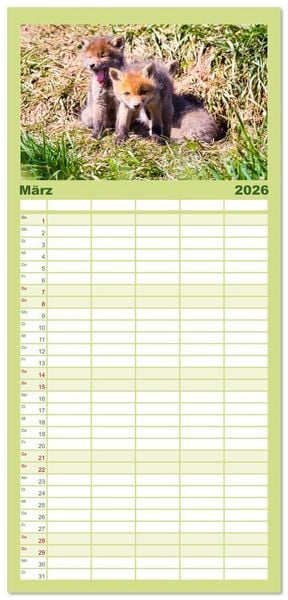 Produktbild: Familienplaner 2026 - Verspielte Fuchswelpen - Allein zu Haus' mit 5 Spalten (Wandkalender, 21 x 45 cm) CALVENDO