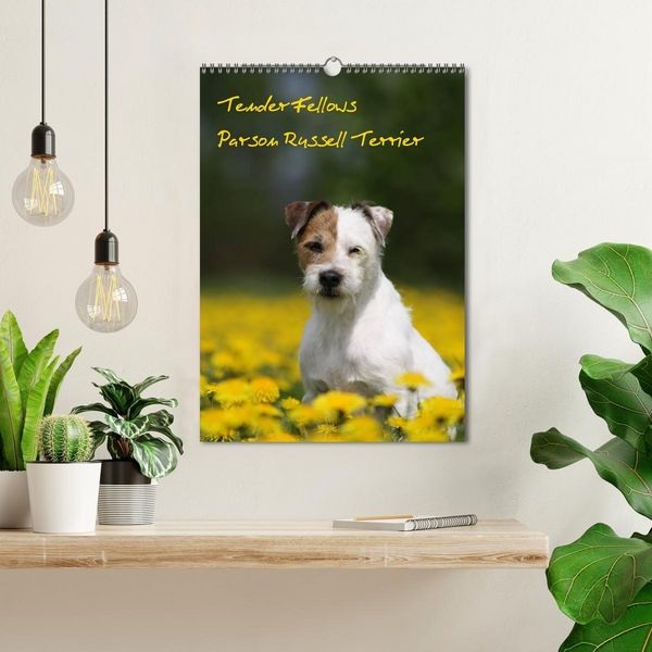 Produktbild: Tender Fellows - Parson Russell Terrier (Wandkalender 2026 DIN A3 hoch), CALVENDO Monatskalender