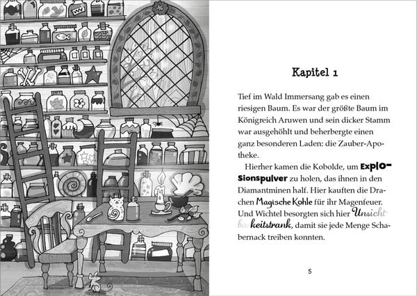 Produktbild: Der kleine Magier – Rettung für das Wasserpferd (Der kleine Magier 2)