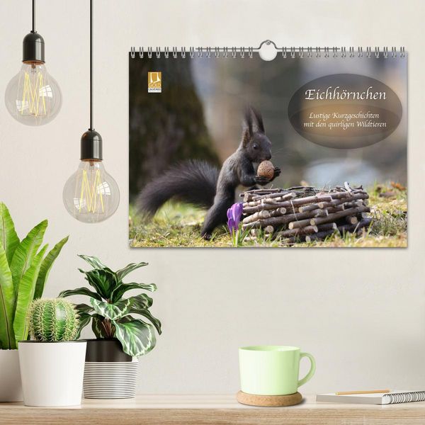 Produktbild: Eichh&ouml;rnchen - Lustige Kurzgeschichten mit den quirligen Wildtieren (Wandkalender 2026 DIN A4 quer), CALVENDO Monatskalender