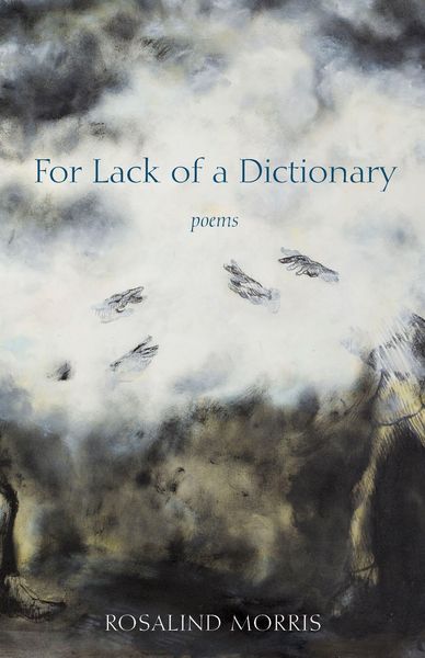 Produktbild: For Lack of a Dictionary