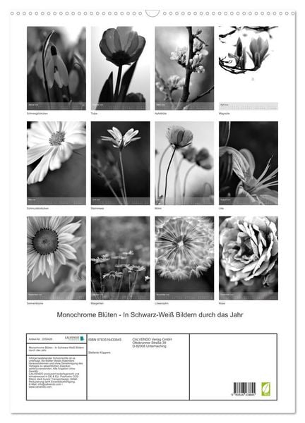 Produktbild: Monochrome Bl&uuml;ten - In Schwarz-Wei&szlig; Bildern durch das Jahr (Wandkalender 2026 DIN A2 hoch), CALVENDO Monatskalender