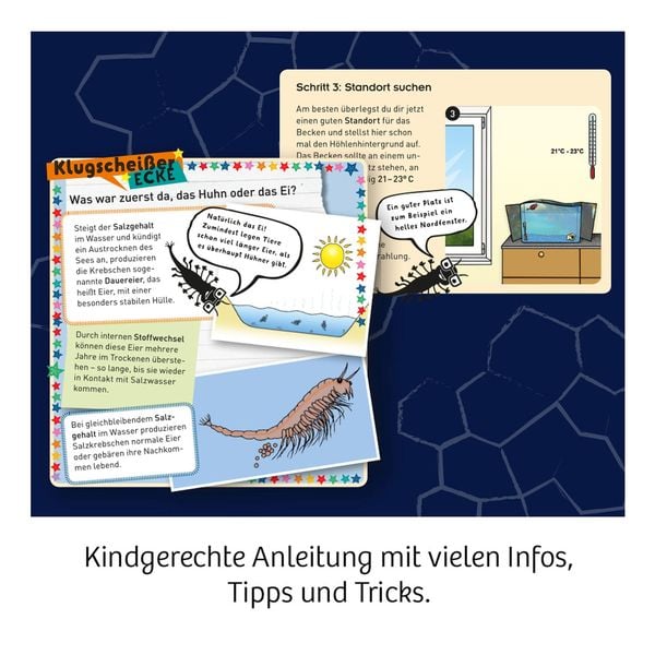 Produktbild: Fun Science Wuselnde Salzkrebse