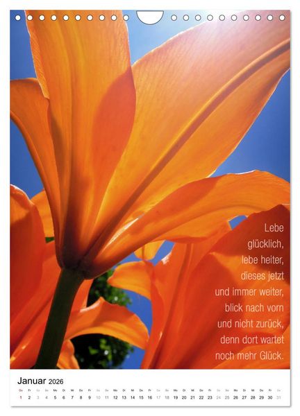 Produktbild: Licht Farbe Natur (Wandkalender 2026 DIN A4 hoch), CALVENDO Monatskalender