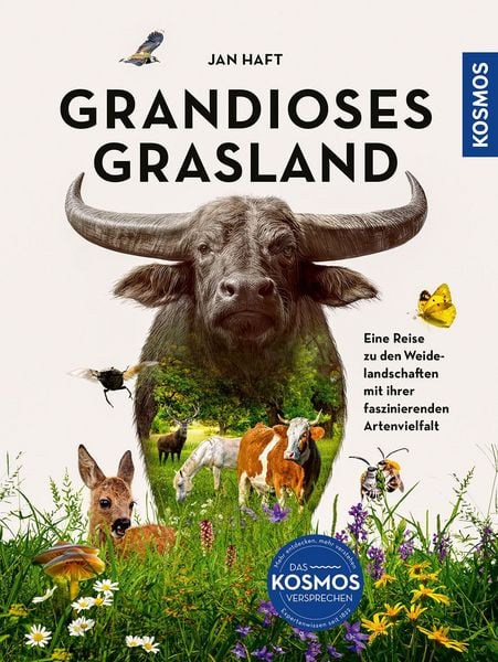 Produktbild: Grandioses Grasland