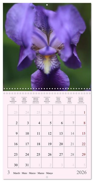 Produktbild: Les saisons en fleurs (Calendrier mural carr&eacute; 2026 30x30 cm) Calendrier double avec une page pour vos prises de notes