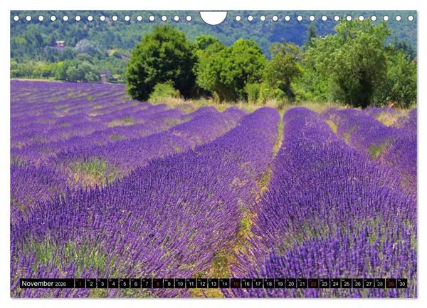 Produktbild: Lavendel (Wandkalender 2026 DIN A4 quer), CALVENDO Monatskalender