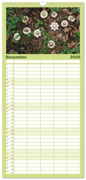 Produktbild: Familienplaner 2026 - Pilze - tolle Funde mit 5 Spalten (Wandkalender, 21 x 45 cm) CALVENDO