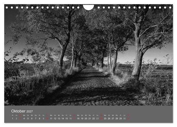Produktbild: Ostsee - von schwarz bis wei&szlig; (Wandkalender 2027 DIN A4 quer), CALVENDO Monatskalender