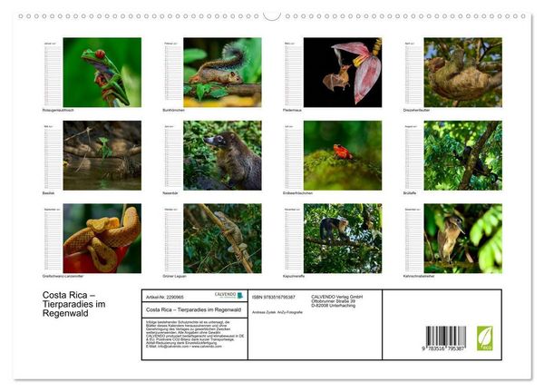 Produktbild: Costa Rica &ndash; Tierparadies im Regenwald (hochwertiger Premium Wandkalender 2027 DIN A2 quer), Kunstdruck in Hochglanz