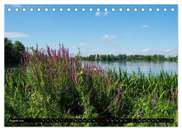 Produktbild: Die Renaissancestadt Mantua (Tischkalender 2026 DIN A5 quer), CALVENDO Monatskalender