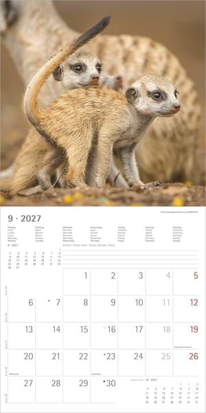 Produktbild: Erdm&auml;nnchen 2027