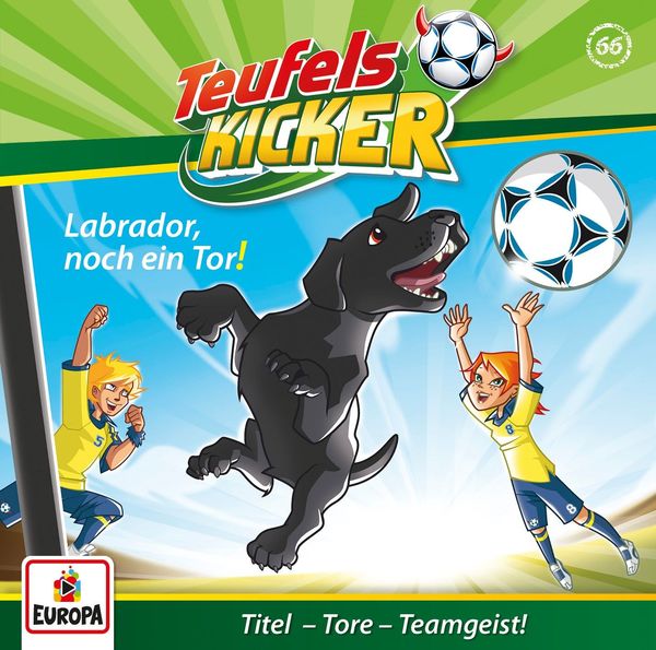 Labrador,noch ein Tor! / Teufelskicker Band 66