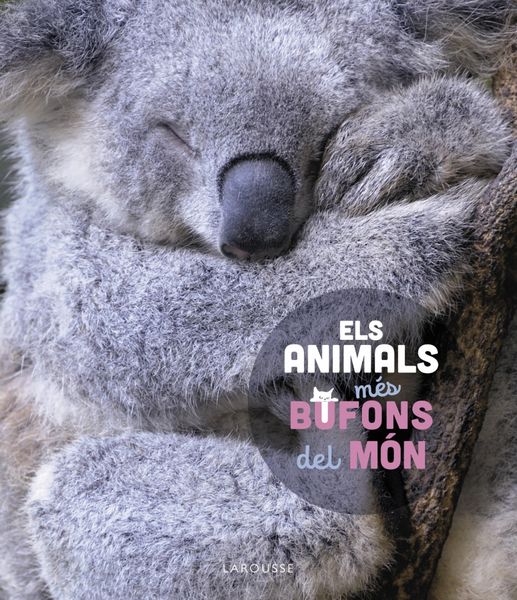 Produktbild: Els animals m&eacute;s bufons del m&oacute;n