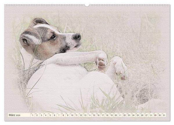 Produktbild: Bodeguero Andaluz 2026 (Wandkalender 2026 DIN A2 quer), CALVENDO Monatskalender