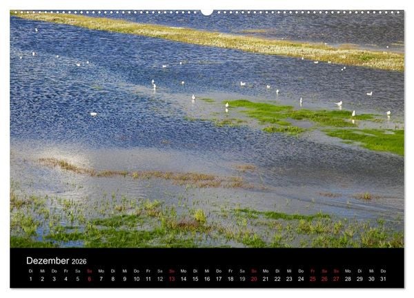 Produktbild: D&auml;nemarks Nordseek&uuml;ste (Wandkalender 2026 DIN A2 quer), CALVENDO Monatskalender