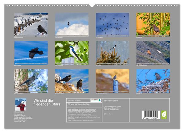 Produktbild: Wir sind die fliegenden Stars (hochwertiger Premium Wandkalender 2026 DIN A2 quer), Kunstdruck in Hochglanz