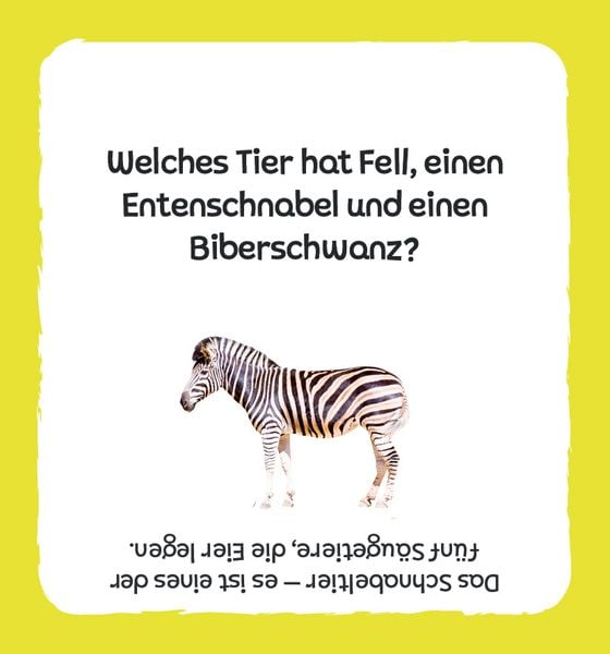 Produktbild: Kartenbox: Das gro&szlig;e Quiz &ndash; Tiere