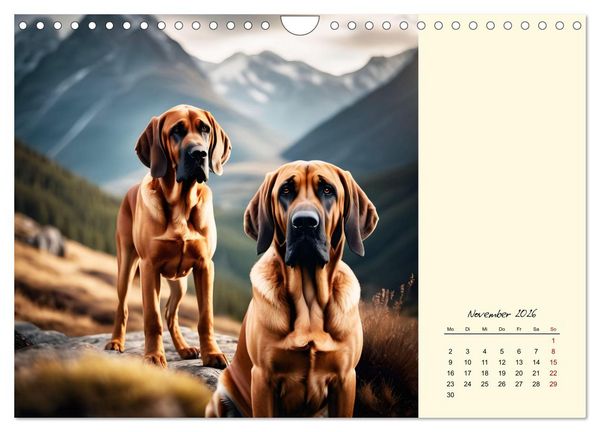 Produktbild: Bloodhound - M&auml;chtige Sp&uuml;rnase (Wandkalender 2026 DIN A4 quer), CALVENDO Monatskalender