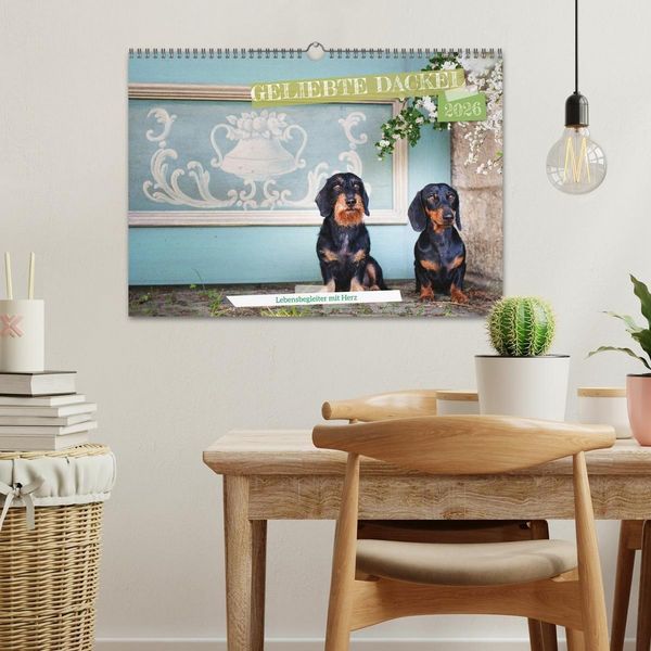 Produktbild: Geliebte Dackel (Wandkalender 2026 DIN A3 quer), CALVENDO Monatskalender