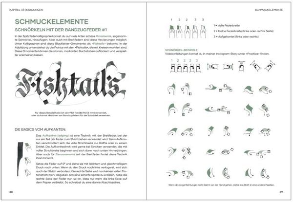 Praxisbuch Kalligraphie Alphabete