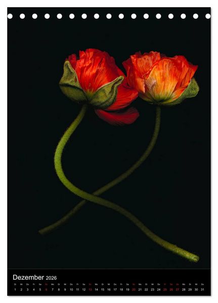 Produktbild: Blumen bei Nacht (Tischkalender 2026 DIN A5 hoch), CALVENDO Monatskalender
