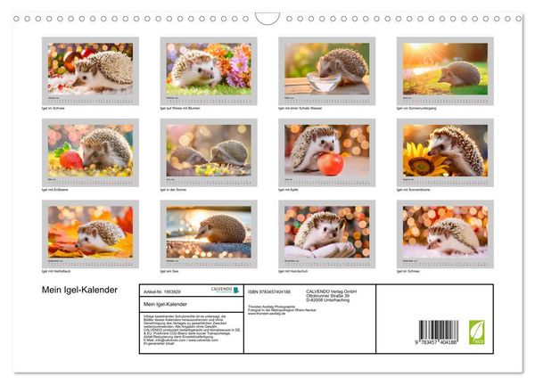 Produktbild: Mein Igel-Kalender (Wandkalender 2026 DIN A3 quer), CALVENDO Monatskalender