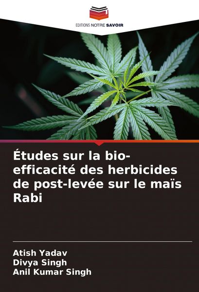 Produktbild: &Eacute;tudes sur la bio-efficacit&eacute; des herbicides de post-lev&eacute;e sur le ma&iuml;s Rabi