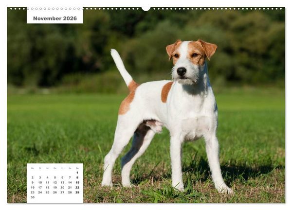 Produktbild: Rassehunde (hochwertiger Premium Wandkalender 2026 DIN A2 quer), Kunstdruck in Hochglanz
