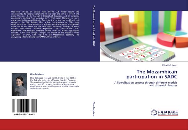 Produktbild: The Mozambican participation in SADC