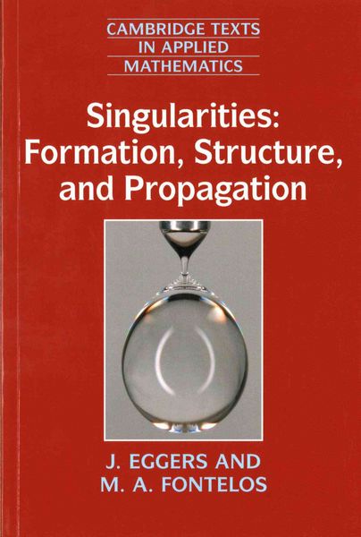 Produktbild: Singularities: Formation, Structure, and Propagation