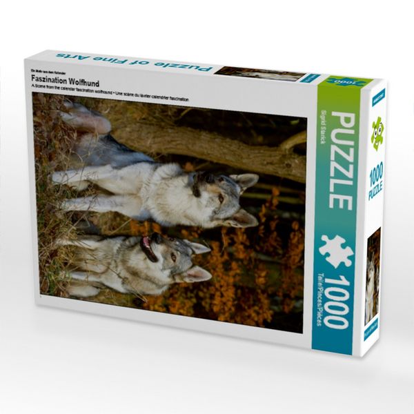 Produktbild: CALVENDO Puzzle Ein Motiv aus dem Kalender Faszination Wolfhund | 1000 Teile Lege-Gr&ouml;&szlig;e 64x48cm Foto-Puzzle f&uuml;r gl&uuml;ckliche Stunden