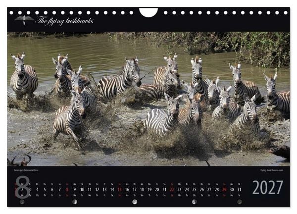 Produktbild: Tansania Blickwinkel 2027 (Wandkalender 2027 DIN A4 quer), CALVENDO Monatskalender