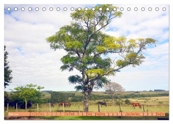 Produktbild: Uruguay - Bienvenido al R&iacute;o de la Plata (Tischkalender 2026 DIN A5 quer), CALVENDO Monatskalender