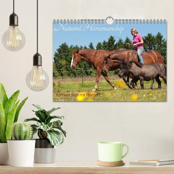 Produktbild: Natural Horsemanship - Partnerschaft mit Pferden (Wandkalender 2026 DIN A4 quer), CALVENDO Monatskalender