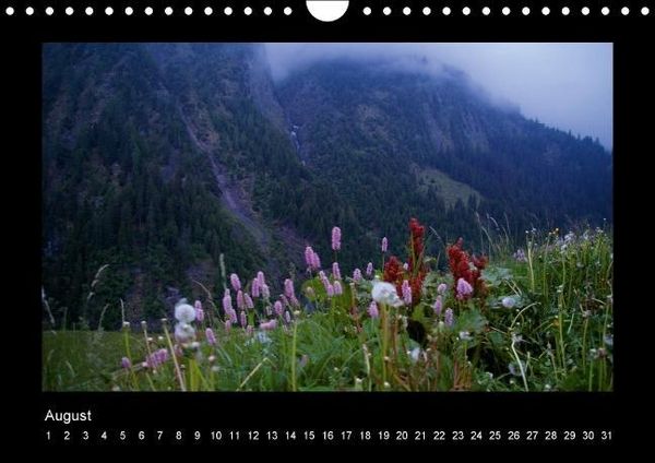 Produktbild: Surselva - Graub&uuml;nden (Wandkalender immerw&auml;hrend DIN A4 quer)