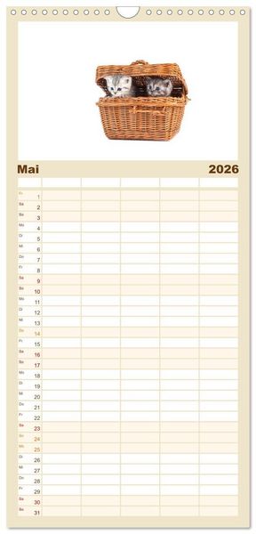Produktbild: Familienplaner 2026 - Katzenbabys mit 5 Spalten (Wandkalender, 21 x 45 cm) CALVENDO