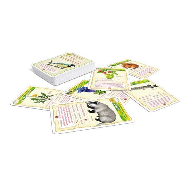 Produktbild: Abenteuer Schule - Natur-Bingo