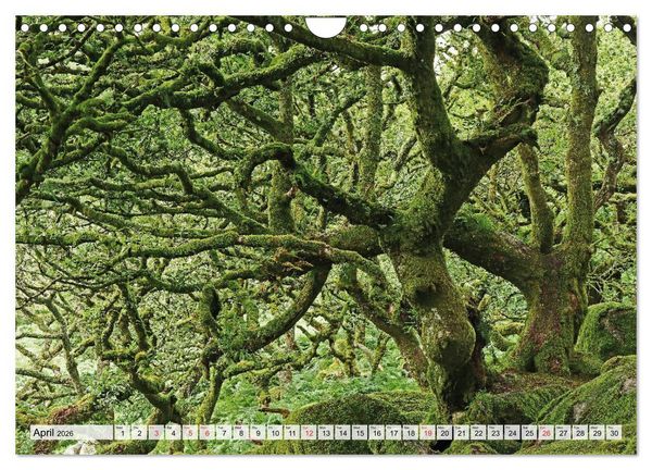 Produktbild: Magic South of England (Wall Calendar 2026 DIN A4 landscape), CALVENDO 12 Month Wall Calendar