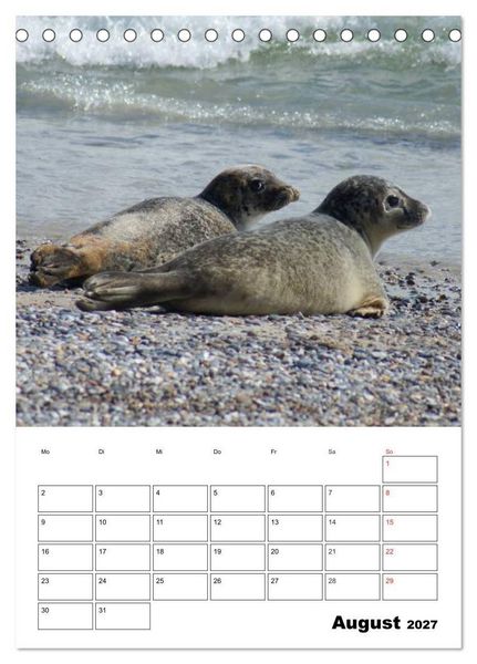 Produktbild: Liebenswerte Robben (Tischkalender 2027 DIN A5 hoch), CALVENDO Monatskalender