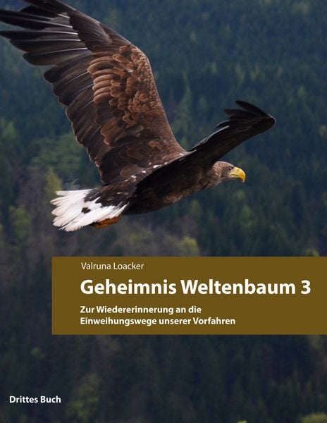 Produktbild: Geheimnis Weltenbaum