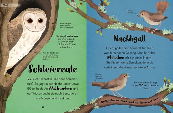 Produktbild: Mein liebstes Buch der Tiere der Nacht