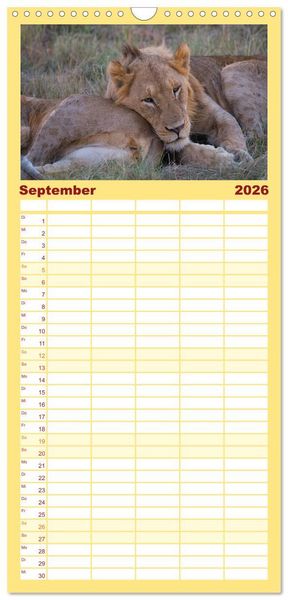 Produktbild: Familienplaner 2026 - S&uuml;dafrika - Big 5 und mehr mit 5 Spalten (Wandkalender, 21 x 45 cm) CALVENDO